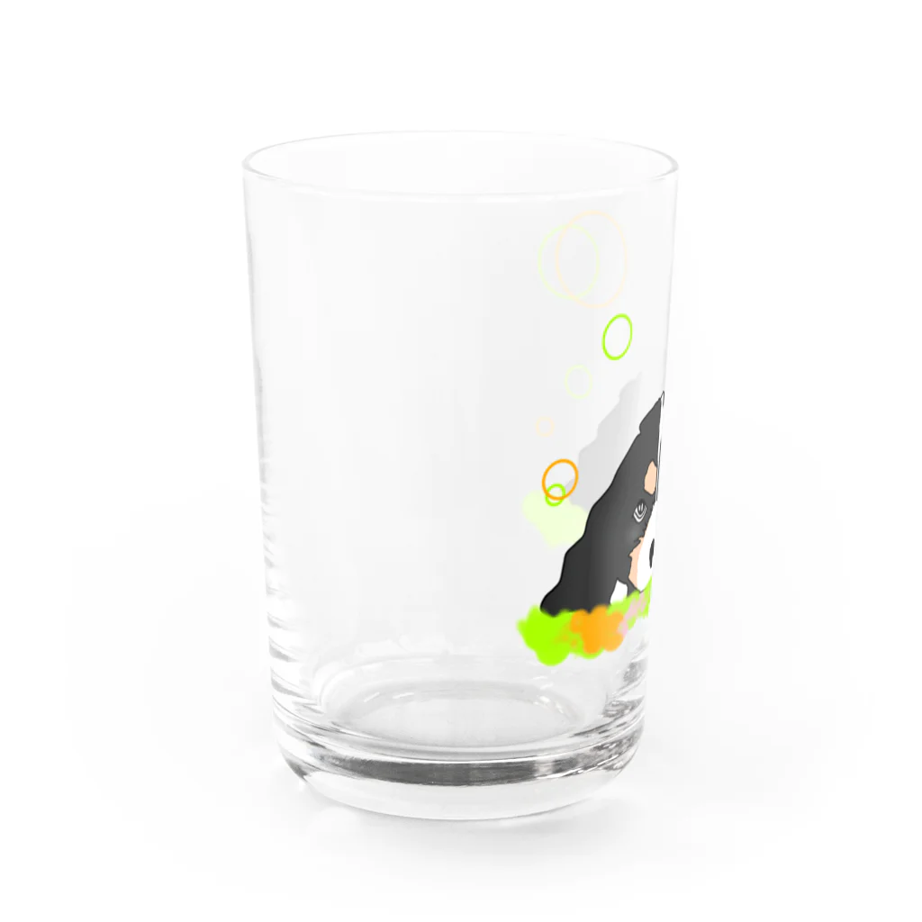 greetenのキャバリアトライカラー癒し犬 Water Glass :left