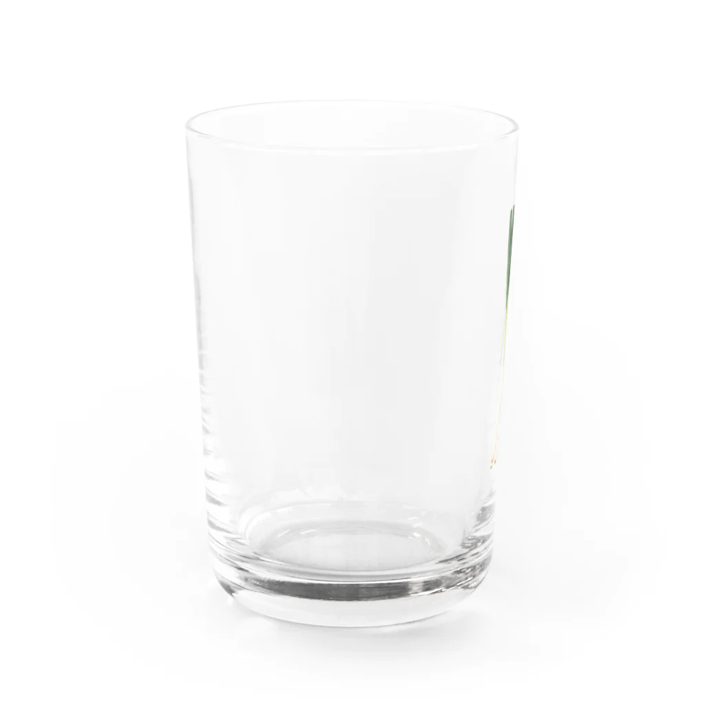 shiramizのあれっ…ネギ、ついてない？ Water Glass :left