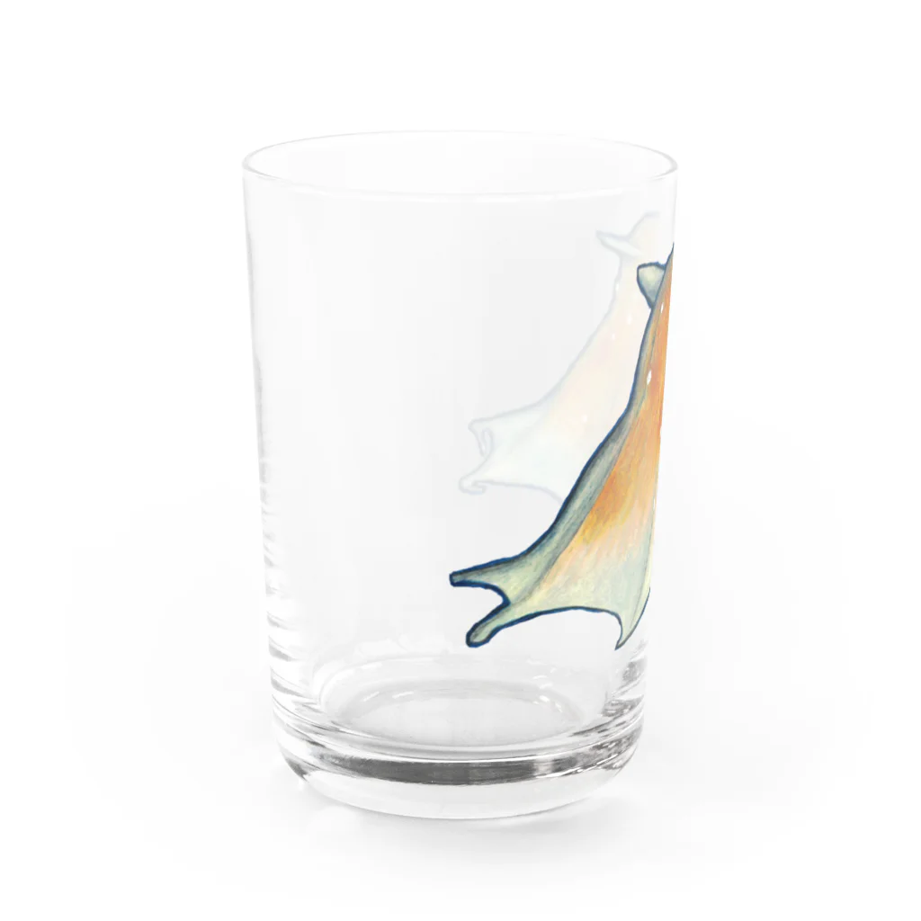 森図鑑の[森図鑑] メンダコ1匹バージョン Water Glass :left
