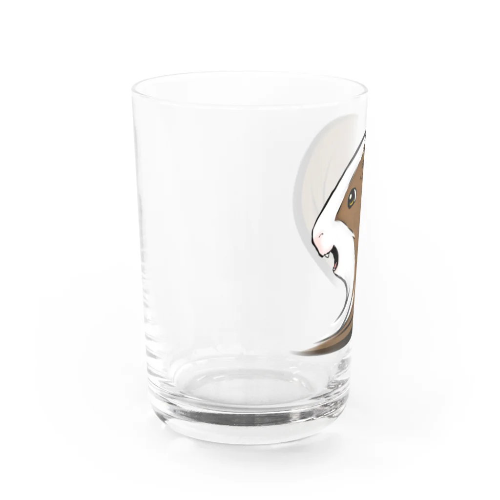 【モルモット】Mugi & Ruki【四国犬】のモルモットのムギちゃん(カラーver) Water Glass :left