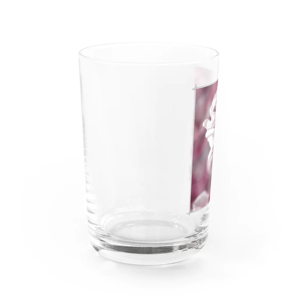 NoNseNseのNNN-Rose Water Glass :left