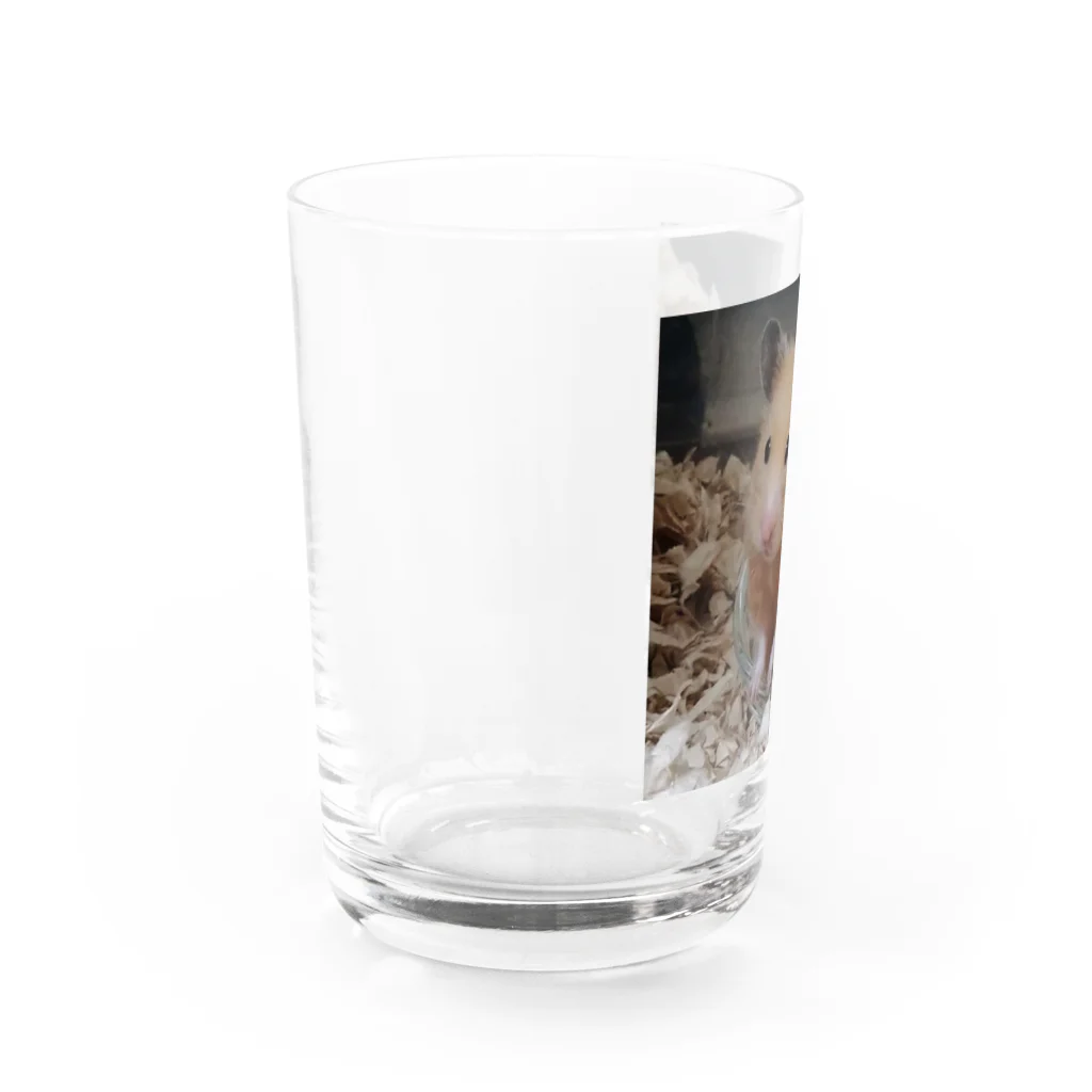 アヤナシトリィSHOPのおつきみ日誌　我が名はつきみ。金熊王朝ハムホテプトラ１世つきみ。 Water Glass :left