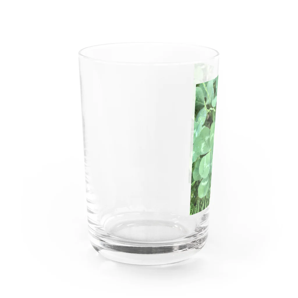 hia's photogalleryの自分らしさが幸せ Water Glass :left