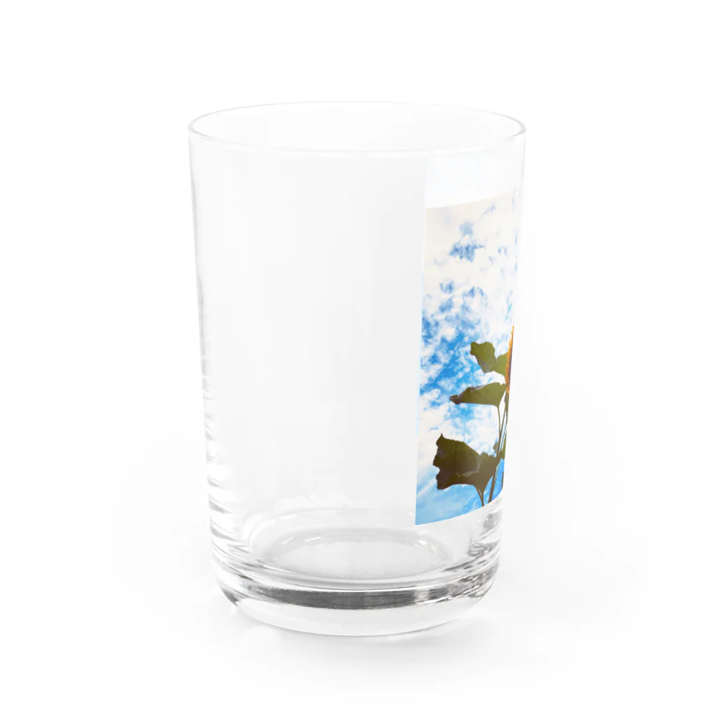 はるきちのぐんぐんひまわり Water Glass :left