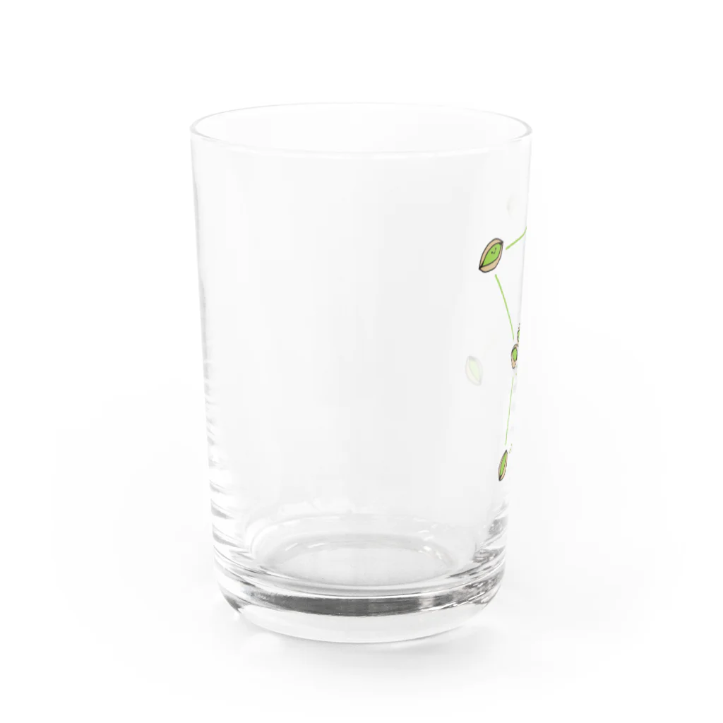 tafu tafuのピスターチオ／オリオン座 Water Glass :left