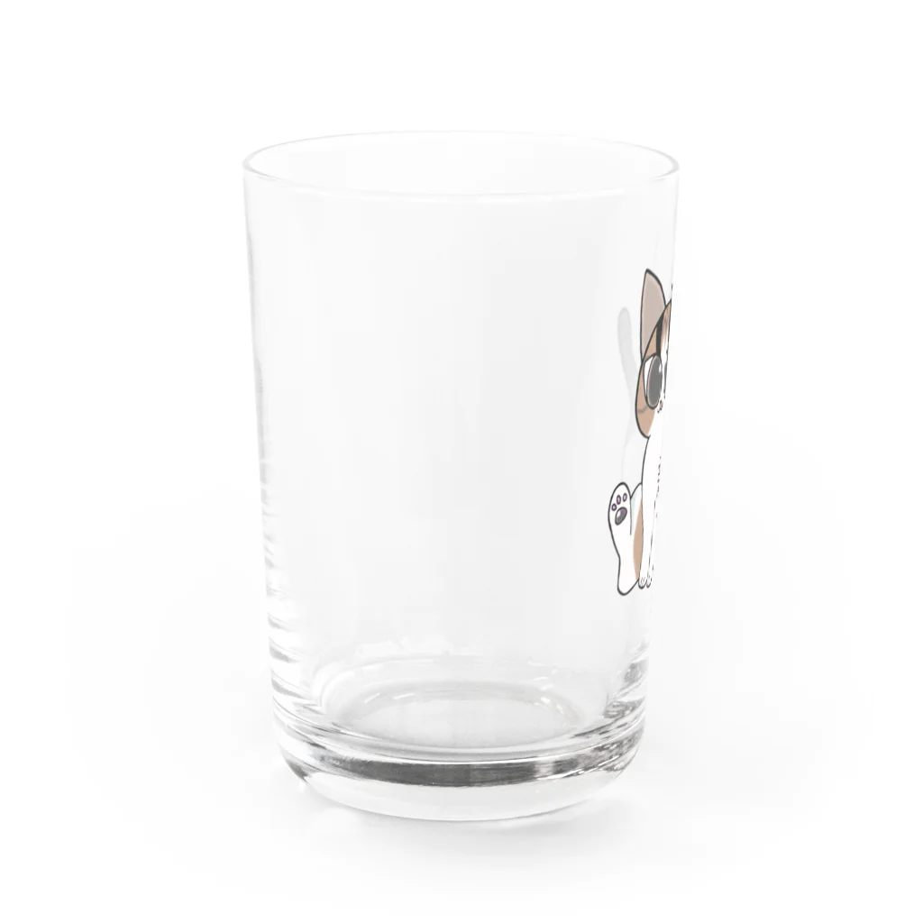 しろくろねこのうちのねこ Water Glass :left