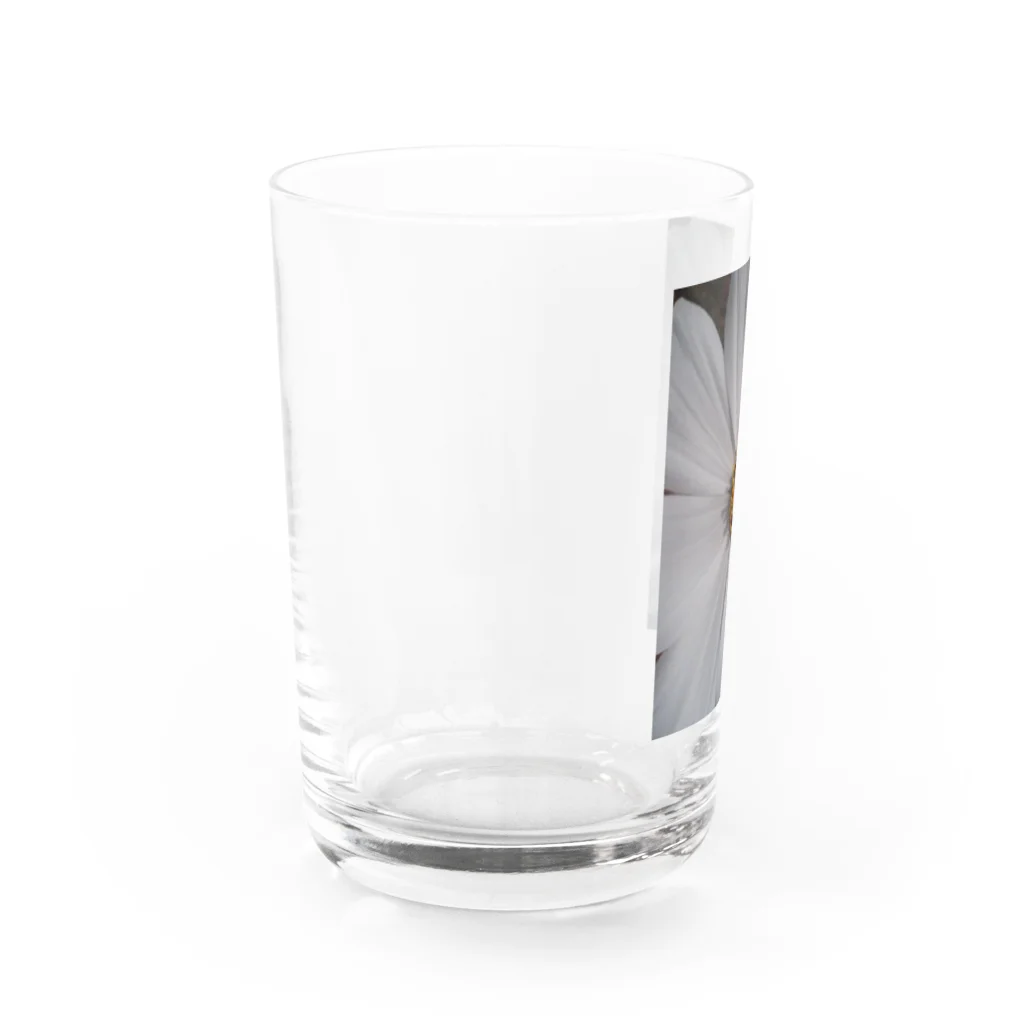 Dreamscape(LUNA)のその純粋な心で・・・ Water Glass :left