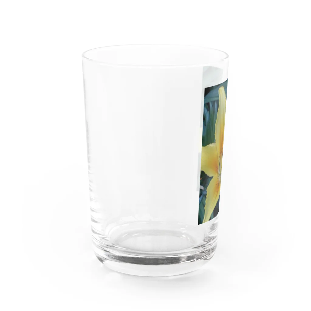 Dreamscape(LUNA)の果てしなく香る Water Glass :left