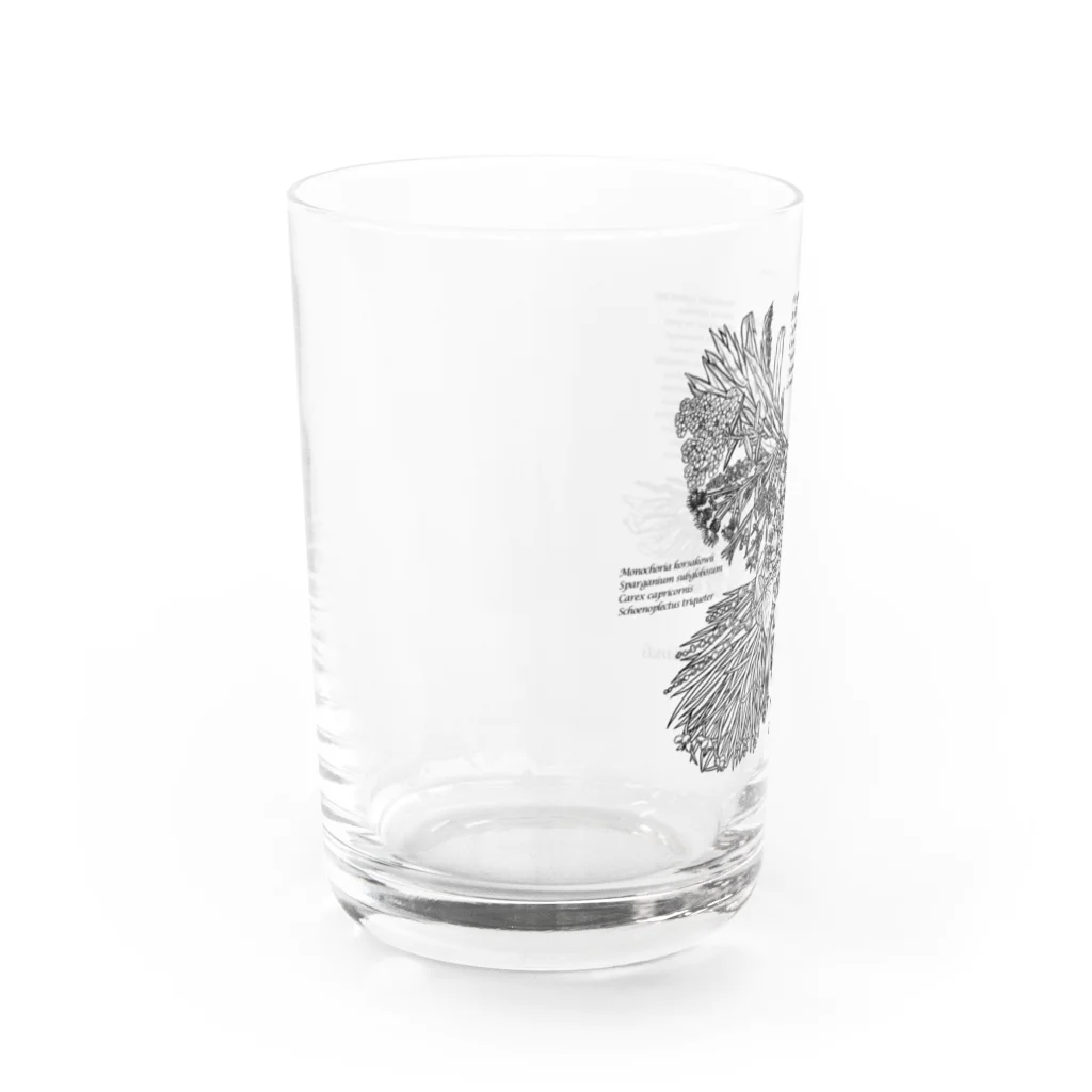 雁花工房（寄付アイテム販売中です）のWild plants of HOTOKENUMA-wetlands（黒） Water Glass :left