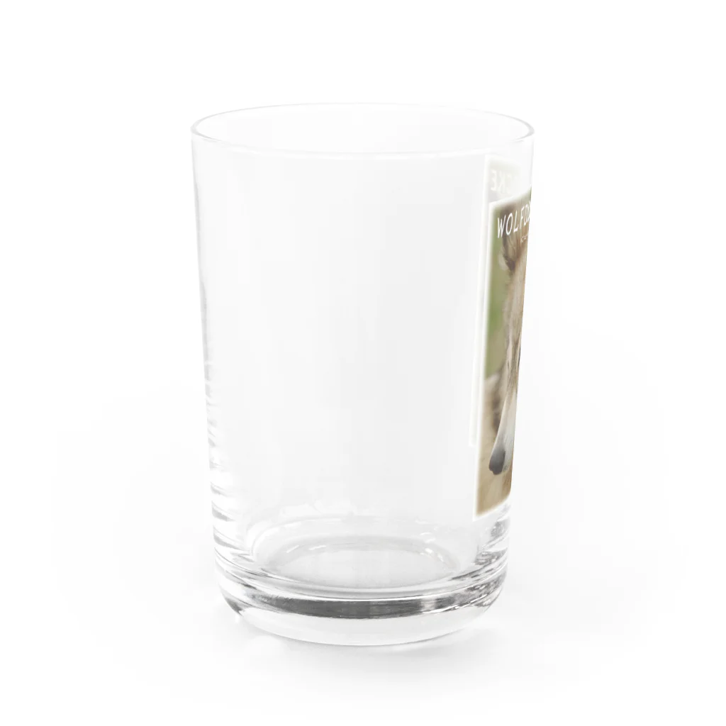 工房斑狼の狼犬ロックフォト Water Glass :left