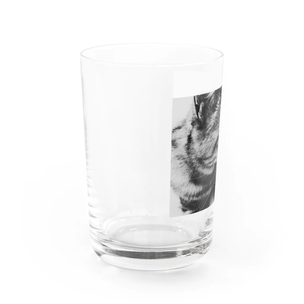 ronのろんＴ Water Glass :left