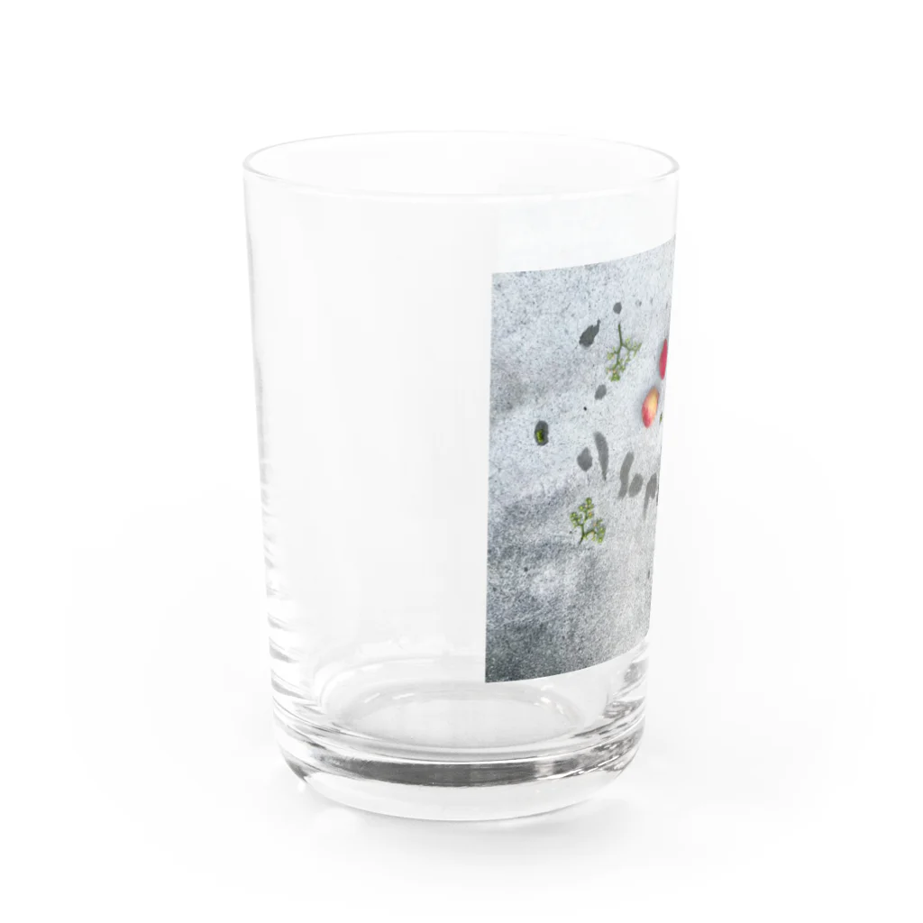 asopo shopのS U M O M O M O Water Glass :left