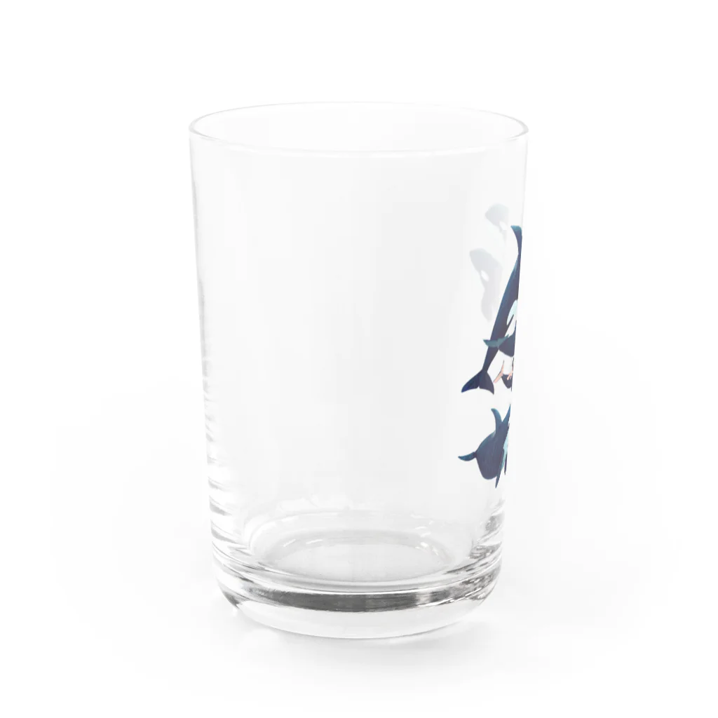 gomaphのシャチ群れ Water Glass :left