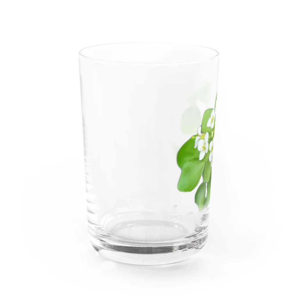 squeak🐭のクレソンのお花 Water Glass :left