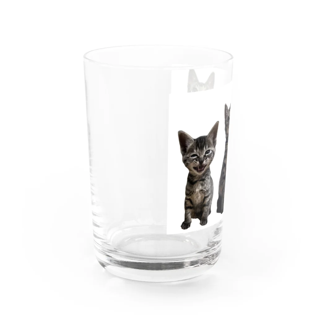 ブティックNENE🐾のネネの仔猫時代 Water Glass :left