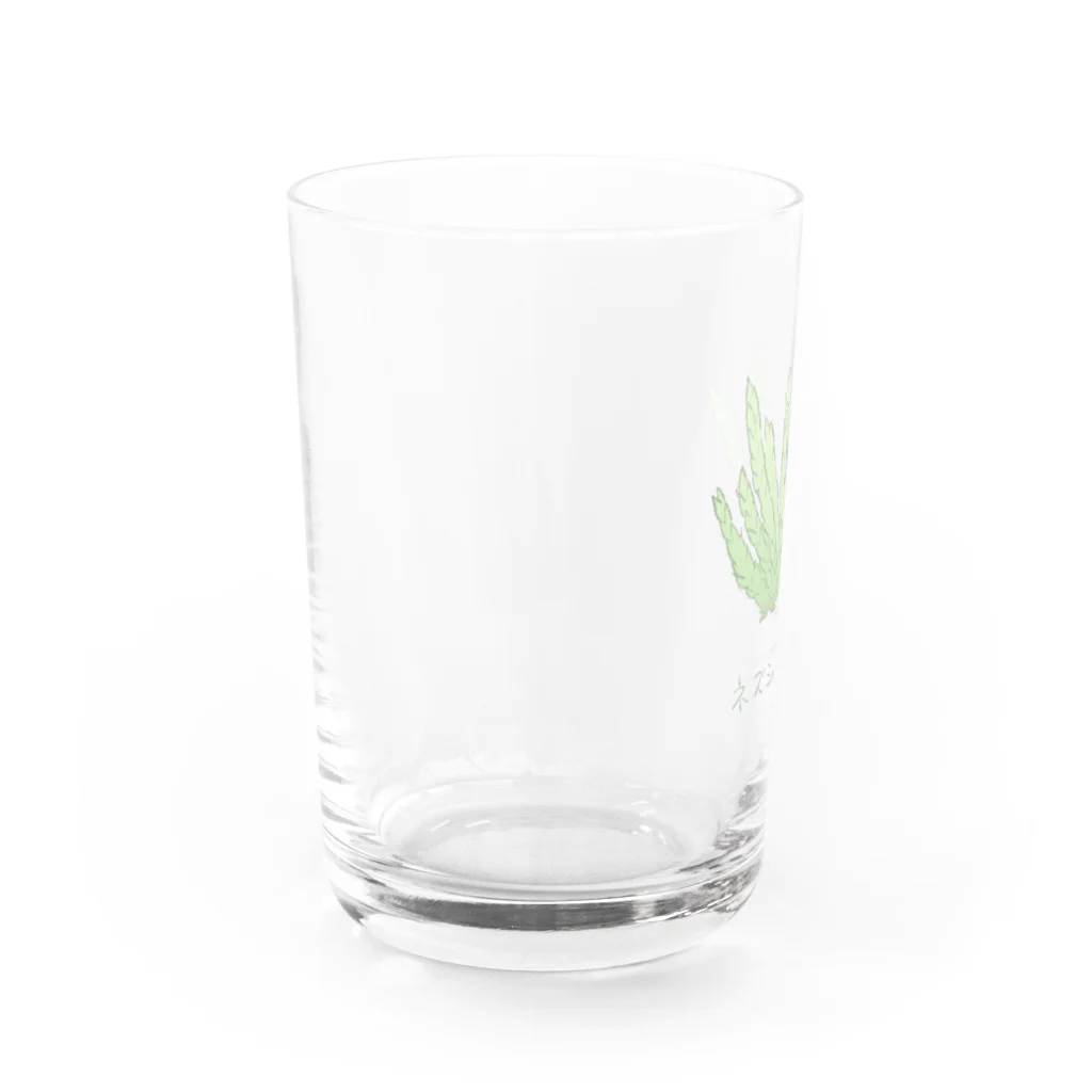 Yuzurium -ユズリウム- 苔テラリウムのネズミノオゴケ【苔グッズ】 Water Glass :left