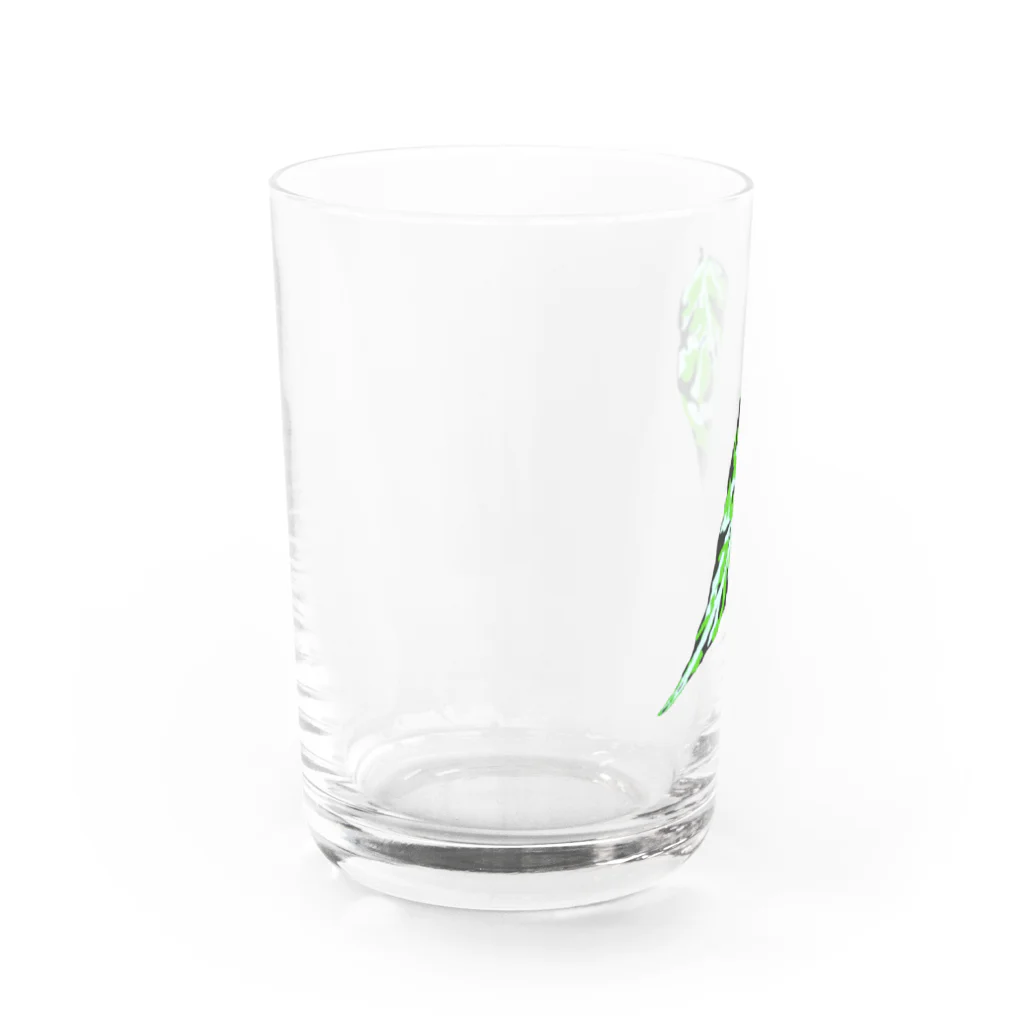 FOXWORKSのアグラオネマリーフ Water Glass :left