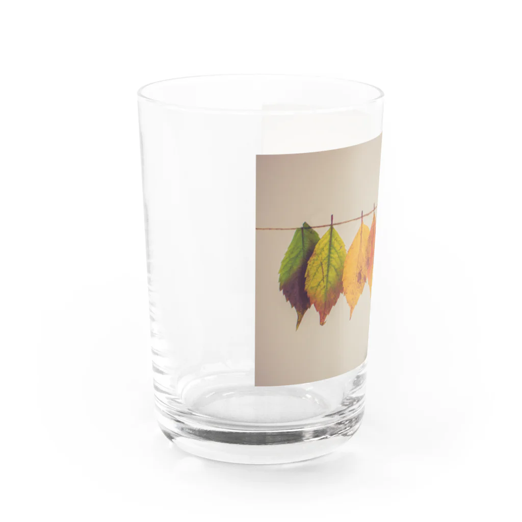 orange_honeyの紅葉 Water Glass :left