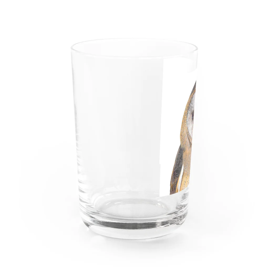 【CPPAS】Custom Pet Portrait Art Studioの可愛いメンフクロウ Water Glass :left