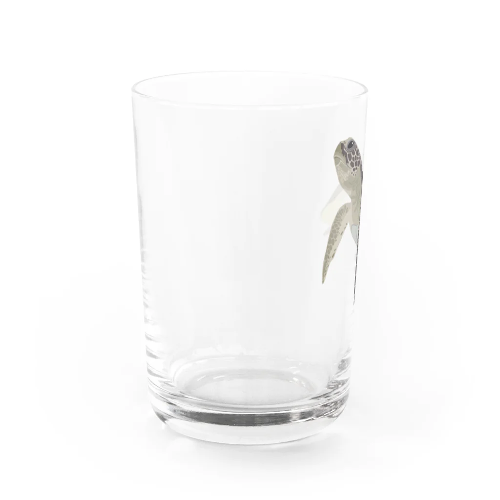 カメの歩みのアオウミガメ Water Glass :left