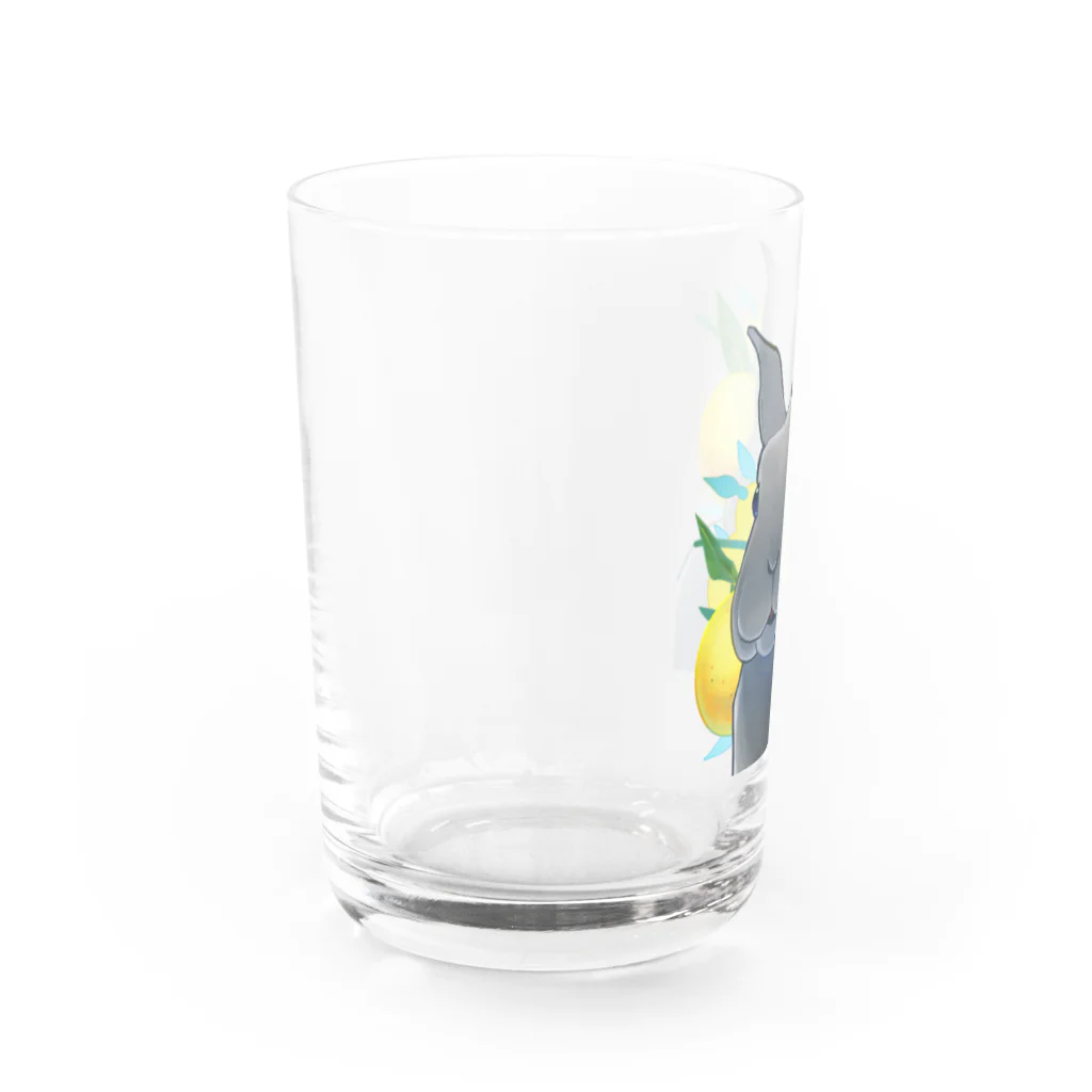 Mountain-and-Valleyのミニレッキスのゆずくん Water Glass :left