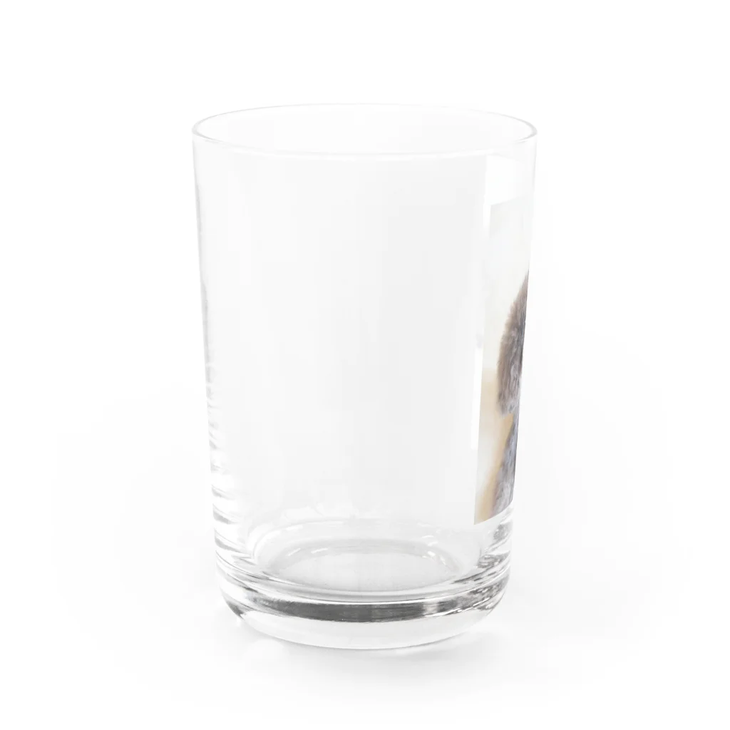 lino-himeのトイプードル Water Glass :left