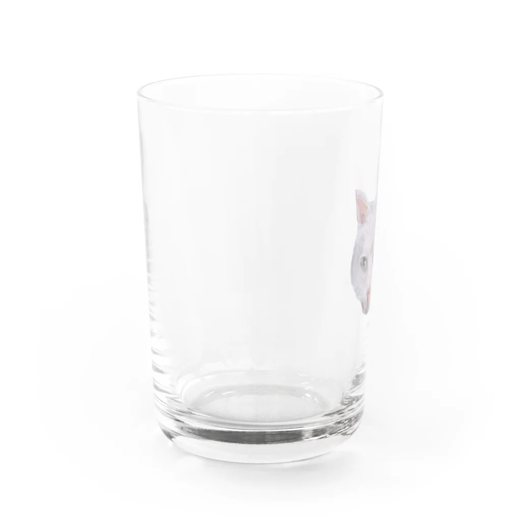 bebeluluのオッドアイ・キャット Water Glass :left