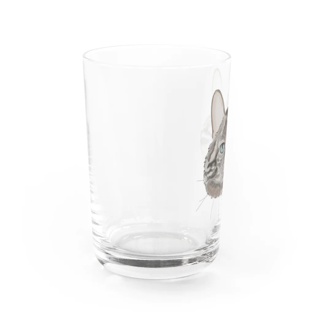 カナタ　フタバのキジトラ柄の猫 Water Glass :left