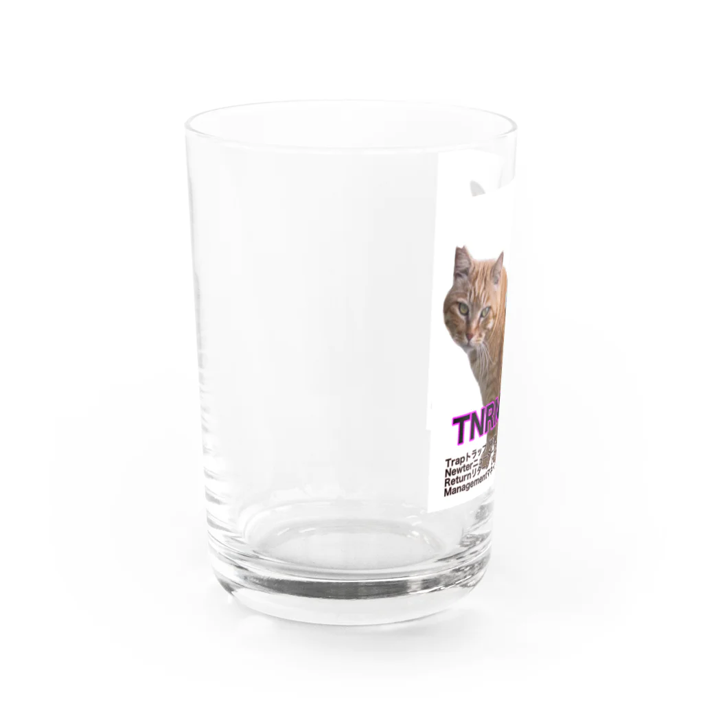 Dede's Furriendsのさくら猫チャンミーとココロ Water Glass :left