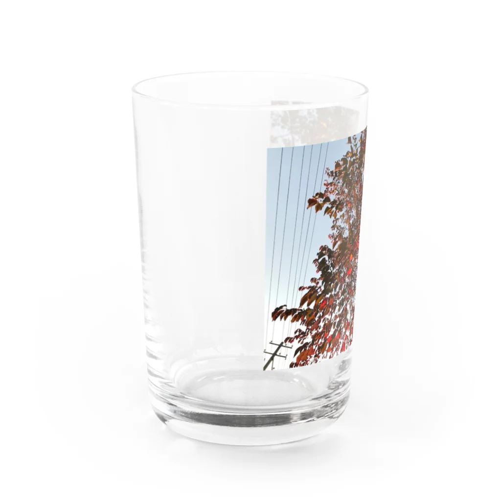 空屋　sorayakusakaの201910181619002　桜の紅葉 Water Glass :left