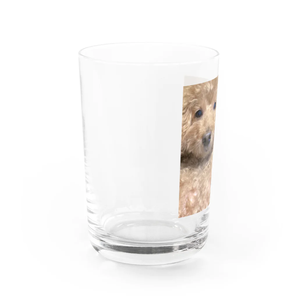 🐶ぷーちょこ公式ショップ🐶のだるちょこグッズ Water Glass :left