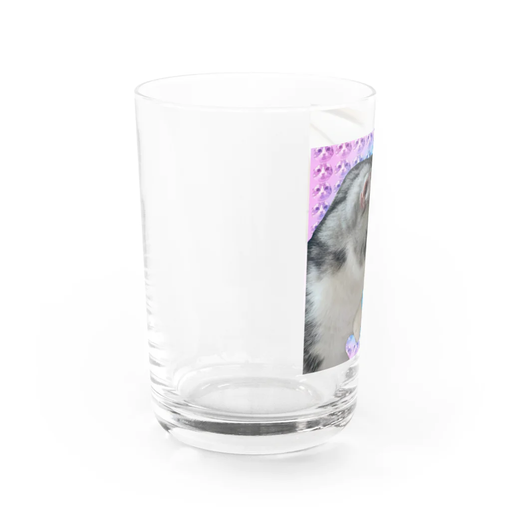 ぽいぽいまるまるのナルシストまる Water Glass :left