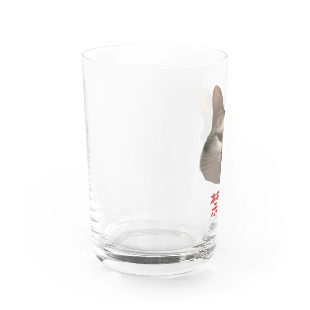 MACKERELCATの禁酒 Water Glass :left