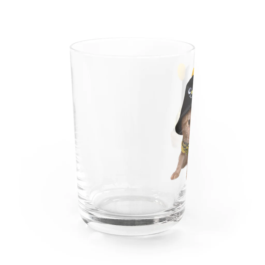 茶太郎🐱とモンブランの茶太郎のコスプレ ハチシリーズ Water Glass :left