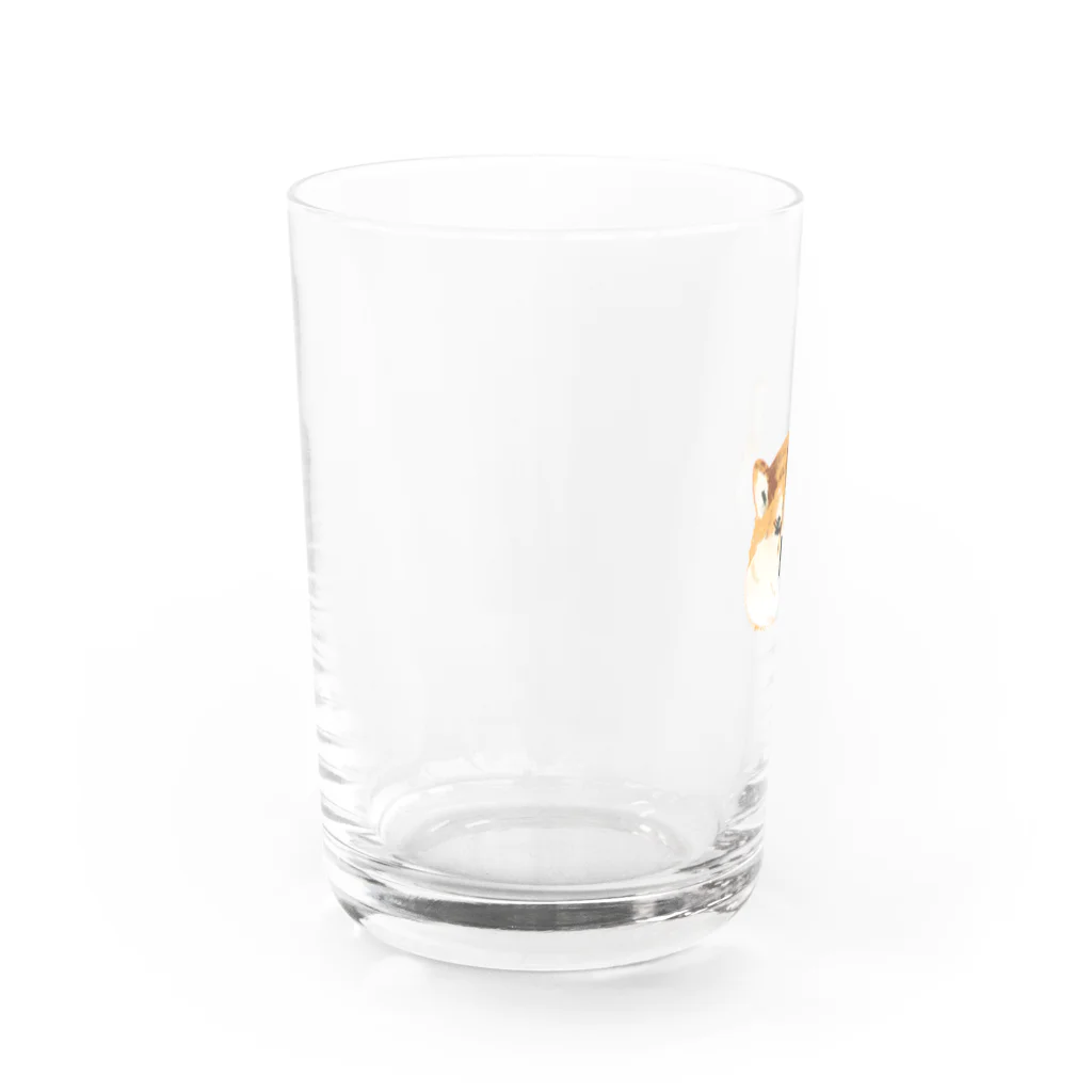 かれいの散歩行きたくない Water Glass :left