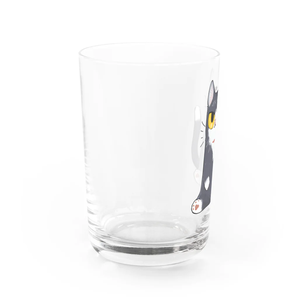 はまきの鼻ペロはちわれ靴下猫 Water Glass :left