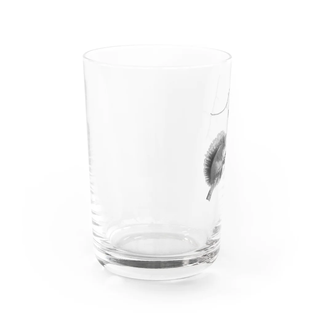 soi hẻm rojiの木登りリス Water Glass :left