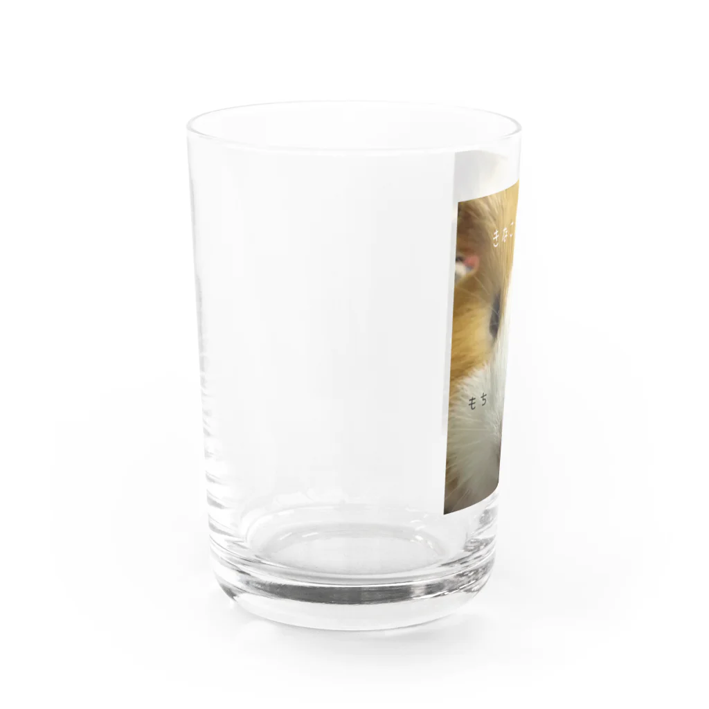 わらびーズもるもるハウスのわらびシリーズ）主原料 Water Glass :left