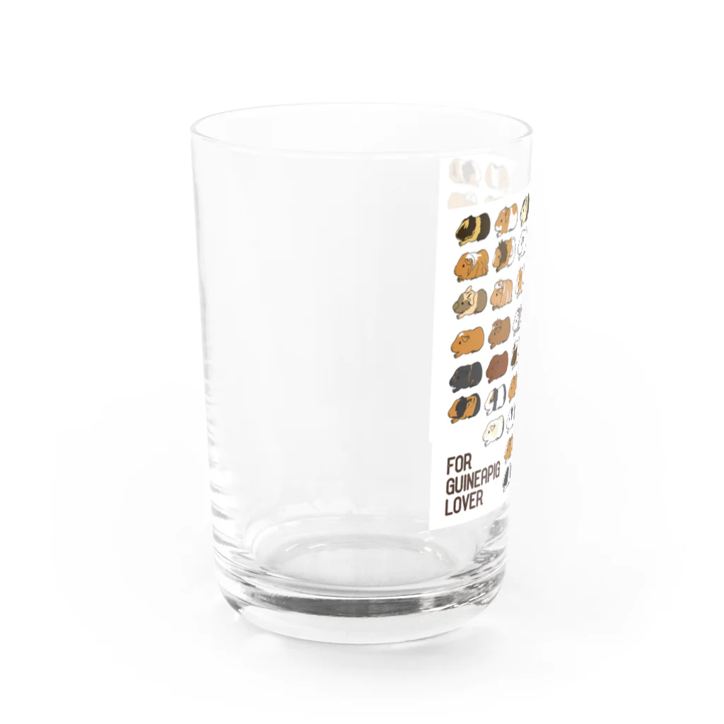 Lichtmuhleのシンプルモルモット Water Glass :left