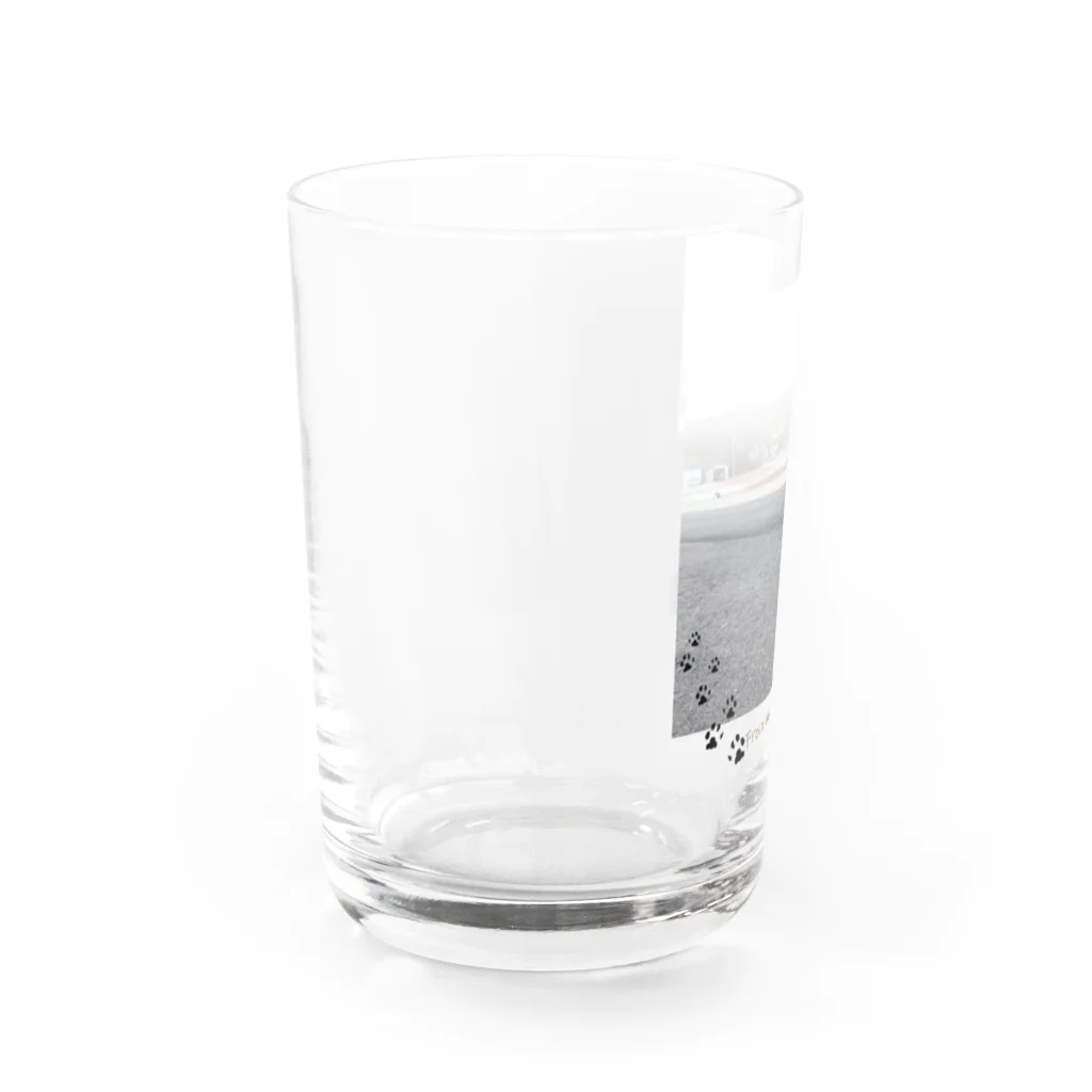 秘密結社猫のために生きよの田代島にゃんシリーズ　平和な日常 Water Glass :left