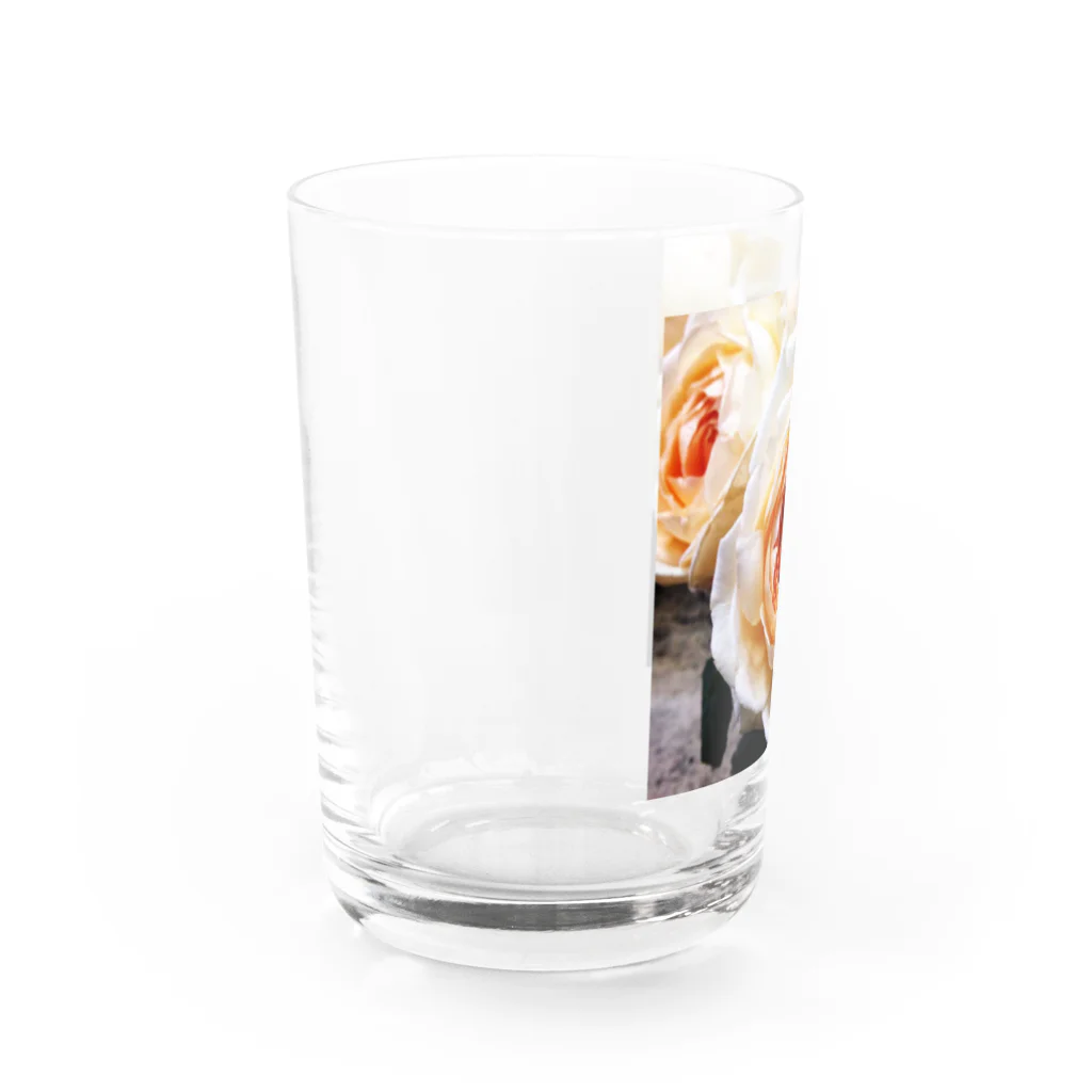 あおい’ｓ libraryのバラrose Water Glass :left