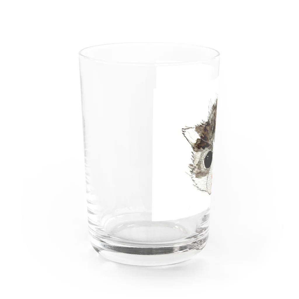 保護猫茶トラ兄弟LIFEの杏ちゃん Water Glass :left