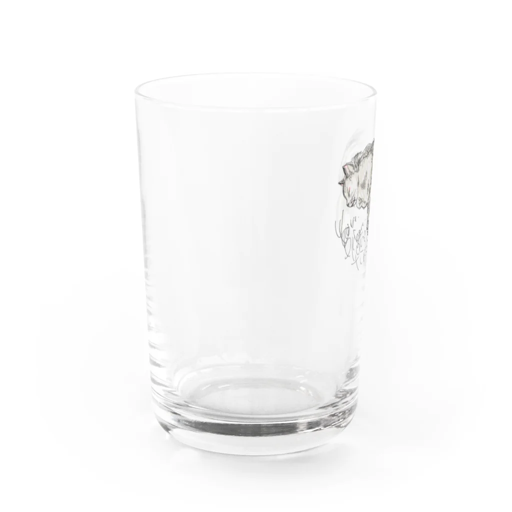 Aimé le chatのねむりおおねこのグッズ Water Glass :left