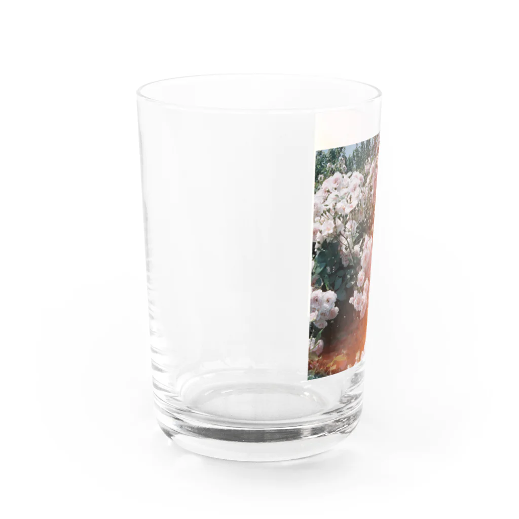 haruka146のレトロな薔薇2（シカク） Water Glass :left