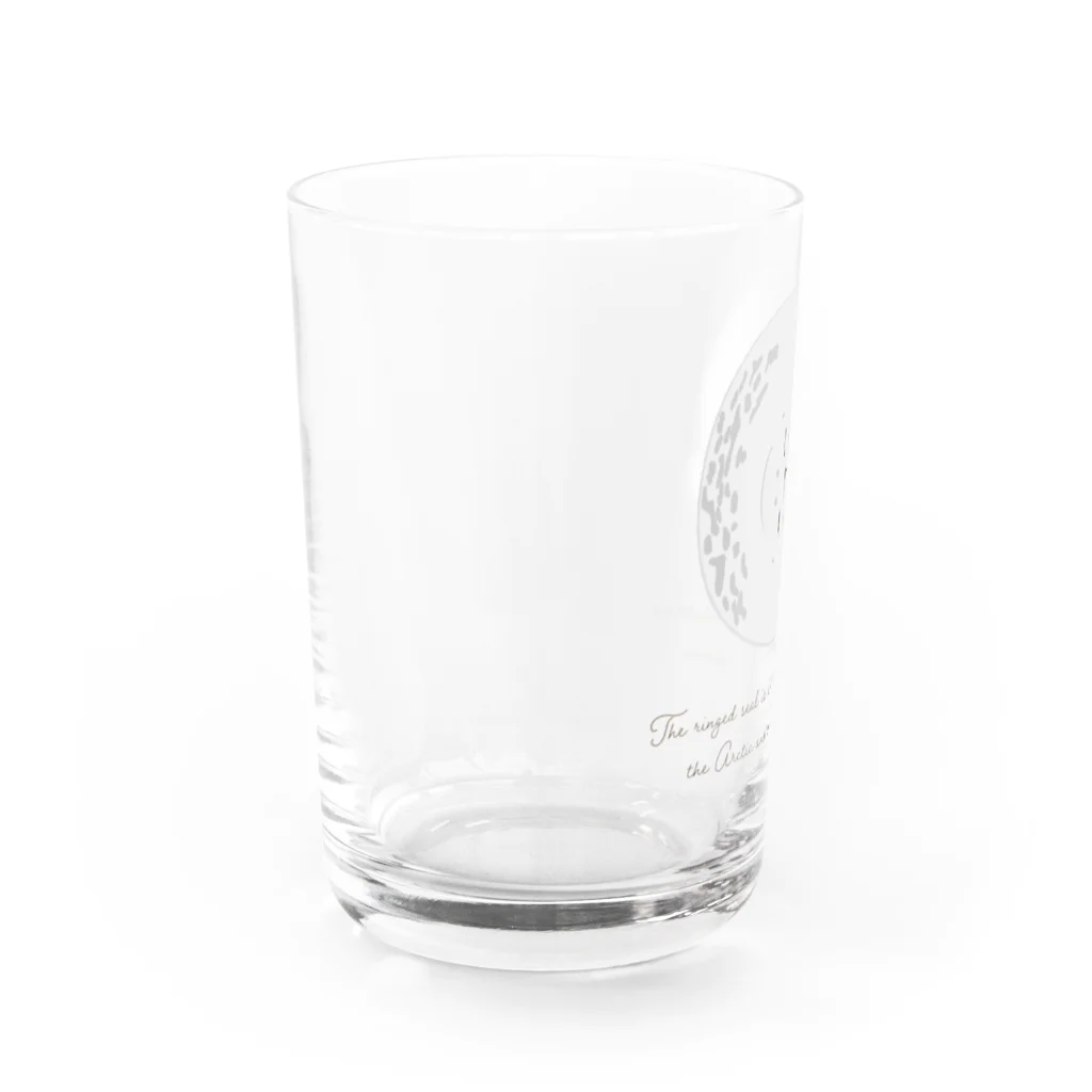 chiho_seal_shopのスヤスヤ ワモンアザラシ sleeping ringed seal Water Glass :left