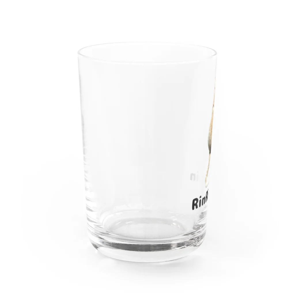 RinRinRinの後ろ向きの猫ちゃん Water Glass :left