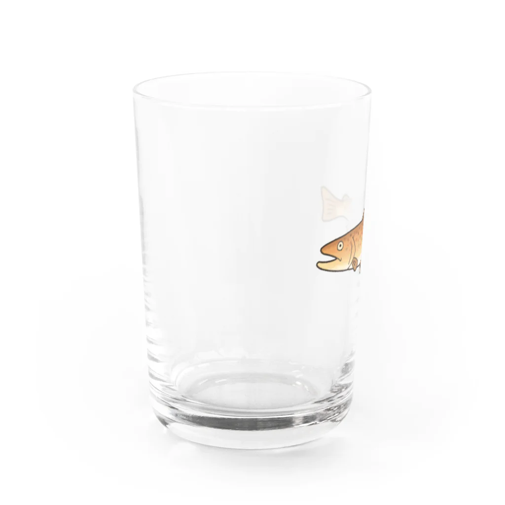 のぞみユニ🐟のブラウントラウト（カラー） Water Glass :left
