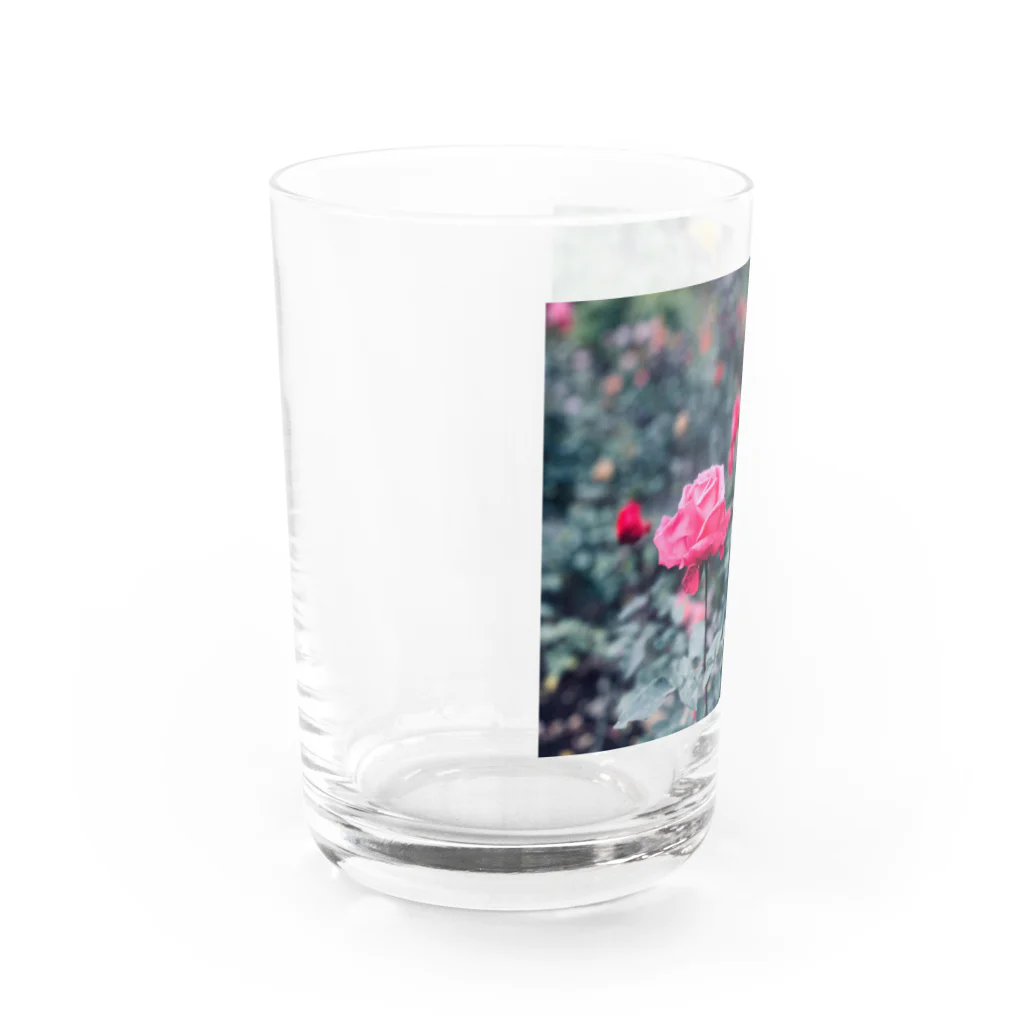 朔夜の薔薇艶 Water Glass :left