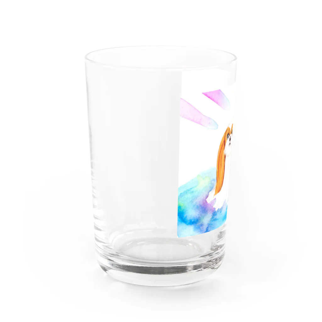 スタジオマリンのシーズー　1ｓ Water Glass :left