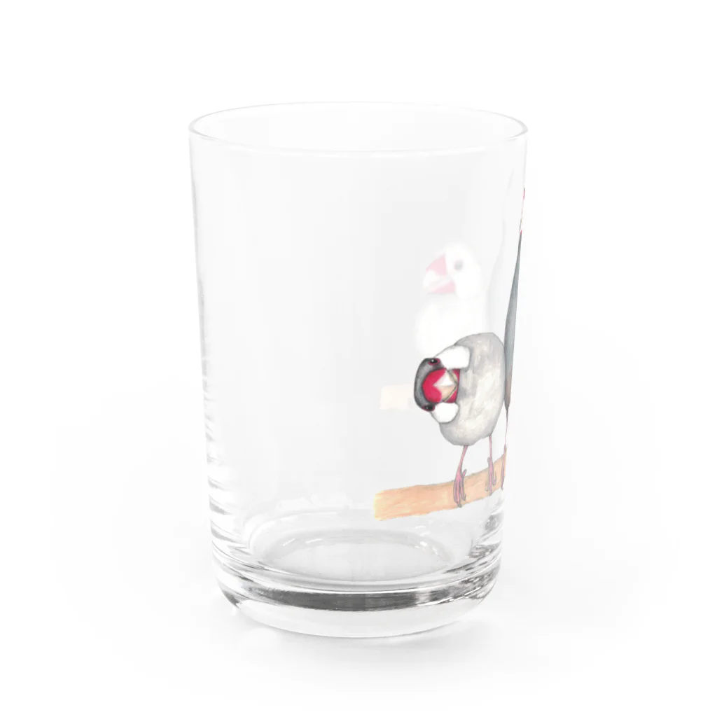 森図鑑の[森図鑑] 三羽文鳥 Water Glass :left